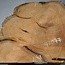 Hymenolobium flavum burl, approx. 590 x 480 x 35 mm, 41077