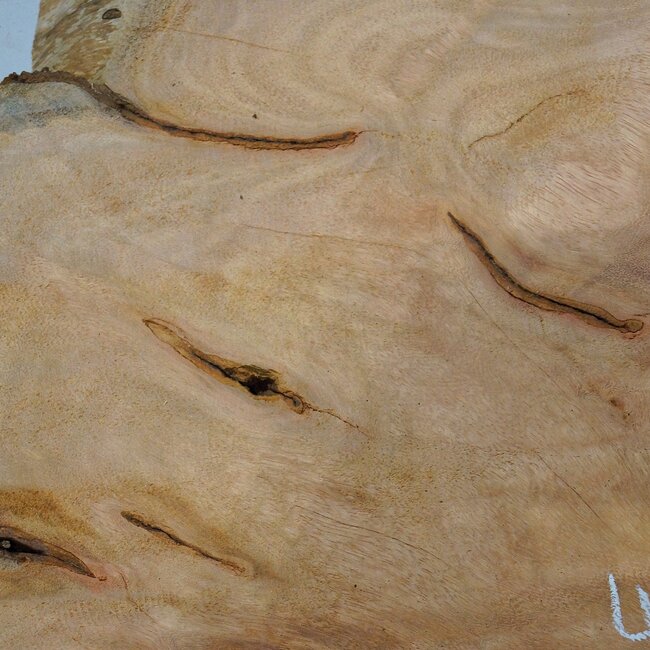 Hymenolobium flavum burl, approx. 590 x 480 x 35 mm, 41077