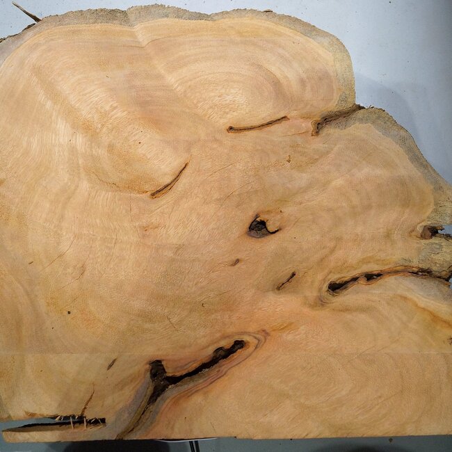 Hymenolobium flavum burl, approx. 590 x 480 x 35 mm, 41077