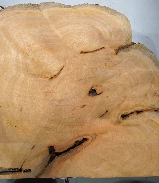 Hymenolobium flavum burl, approx. 590 x 480 x 35 mm, 41077