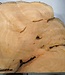 Hymenolobium flavum burl, approx. 590 x 480 x 35 mm, 41077