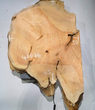 Hymenolobium flavum burl, approx. 650 x 520 x 35 mm, 41076