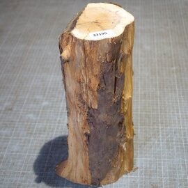 Yew, approx. 360mm, Ø ca. 100mm, 2,94kg