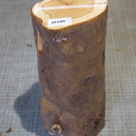 Eibe, ca. 300mm, Ø ca. 120mm, 2,5kg