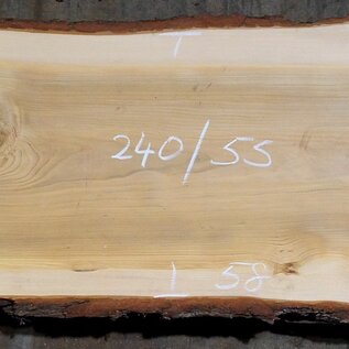 Lebanon Cedar table top, approx. 2400 x 720/620/550 x 75 mm, 13353