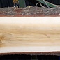 Lebanon Cedar table top, approx. 2400 x 720/620/550 x 75 mm, 13353