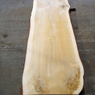 Lebanon Cedar table top, approx. 2950 x 930/920/840 x 75 mm, 13350
