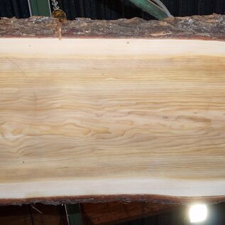 Lebanon Cedar table top, approx. 2950 x 930/920/840 x 75 mm, 13350