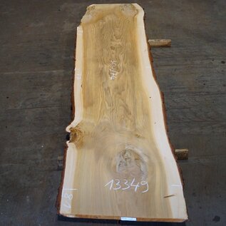 Lebanon Cedar table top, approx. 3000 x 810/810/740 x 50 mm, 13349