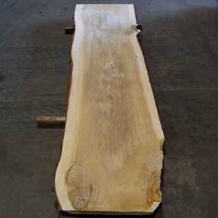 Lebanon Cedar table top, approx. 3000 x 810/810/740 x 50 mm, 13349