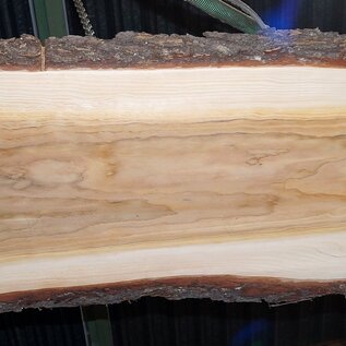 Lebanon Cedar table top, approx. 3000 x 810/810/740 x 50 mm, 13349