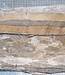 Ziricote, decorative board, approx. 750 x 240 x 40mm, 6,0kg