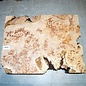 Grisard, Silberpappel, ca. 440 x 340 x 48mm, 4,5kg