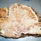 Grisard, Silberpappel, ca. 490 x 370 x 60mm, 7,5kg