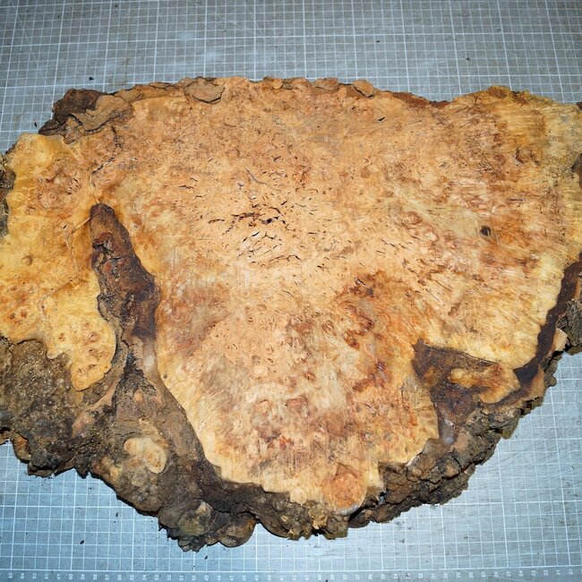 Grisard, approx. 490 x 370 x 60mm, 7,5kg