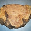 Grisard, Silberpappel, ca. 490 x 370 x 60mm, 7,5kg