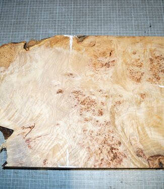 Grisard, Silberpappel, ca. 520 x 360 x 35-62mm, 7,5kg