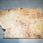 Grisard, Silberpappel, ca. 520 x 360 x 35-62mm, 7,5kg