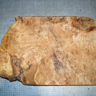 Grisard, Silberpappel, ca. 520 x 360 x 35-62mm, 7,5kg