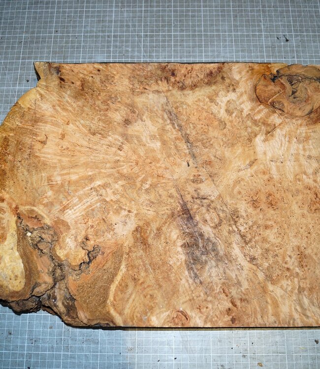 Grisard, approx. 520 x 360 x 35-62mm, 7,5kg