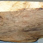 Grisard, Silberpappel, ca. 520 x 360 x 35-62mm, 7,5kg