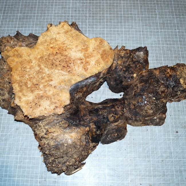 Grisard, approx. 490 x 330 x 65mm, 3,3kg