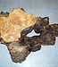 Grisard, Silberpappel, ca. 490 x 330 x 65mm, 3,3kg