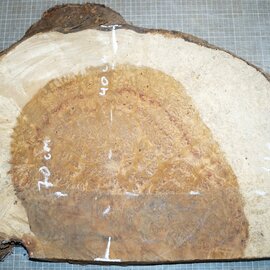 Amboina Maser, ca. 700 x 400 x 40-55mm, 11,1kg