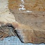 Amboina burl, approx. 700 x 400 x 40-55mm, 11,1kg