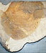 Amboina burl, approx. 700 x 400 x 40-55mm, 11,1kg