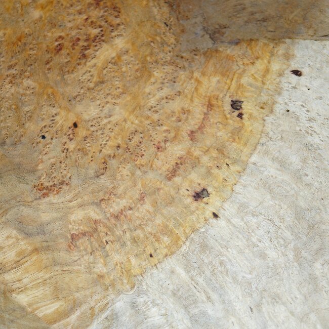 Amboina Maser, ca. 700 x 400 x 40-55mm, 11,1kg