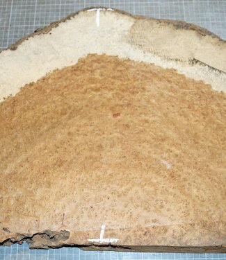 Amboina burl, approx. 770 x 420 x 45mm, 9,2kg