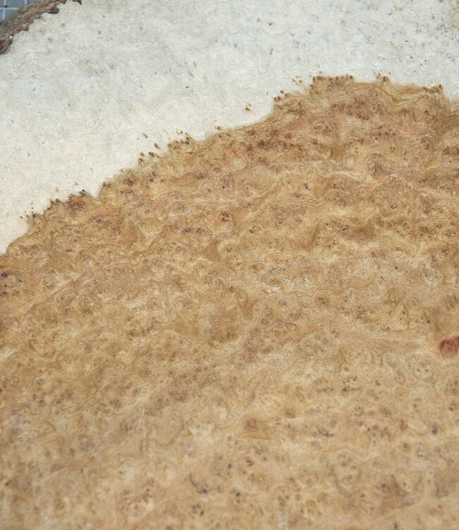 Amboina burl, approx. 770 x 420 x 45mm, 9,2kg