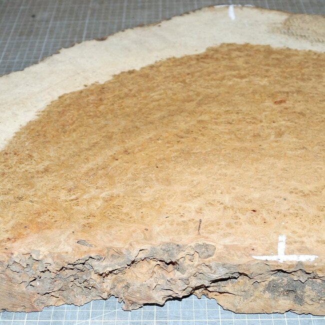 Amboina burl, approx. 770 x 420 x 45mm, 9,2kg