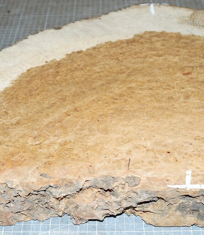 Amboina Maser, ca. 770 x 420 x 45mm, 9,2kg