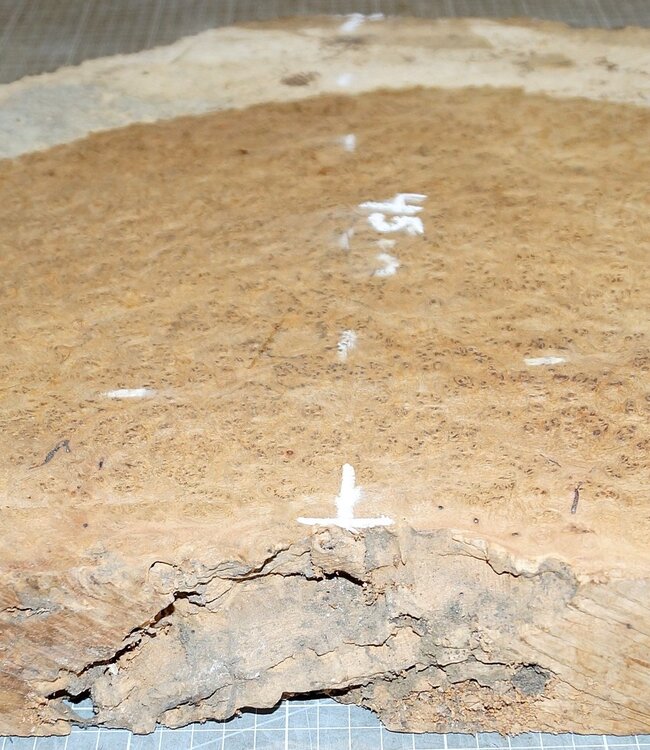 Amboina Maser, ca. 820 x 450 x 54-60mm, 12,7kg