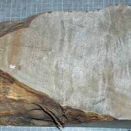 Pappel Maser, ca. 250 x 190 x 75mm, 1,5kg