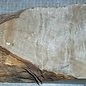 Pappel Maser, ca. 250 x 190 x 75mm, 1,5kg