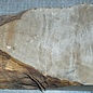 Poplar burl, approx. 250 x 190 x 75mm, 1,5kg