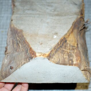 Poplar burl, approx. 250 x 190 x 75mm, 1,5kg