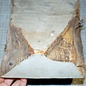 Poplar burl, approx. 250 x 190 x 75mm, 1,5kg