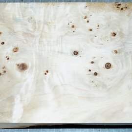 Poplar burl, approx. 295 x 185 x 55mm, 1,2kg