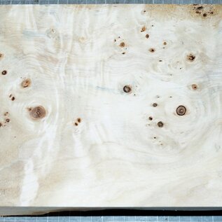 Poplar burl, approx. 295 x 185 x 55mm, 1,2kg