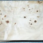 Pappel Maser, ca. 295 x 185 x 55mm, 1,2kg
