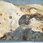 Pappel Maser, ca. 295 x 185 x 55mm, 1,2kg