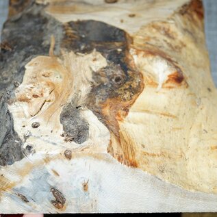 Poplar burl, approx. 295 x 185 x 55mm, 1,2kg