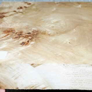 Poplar burl, approx. 240 x 235 x 50mm, 1,2kg