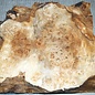 Poplar burl, approx. 360 x 335 x 55mm, 2,2kg