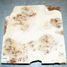 Pappel Maser, ca. 350 x 350 x 40-80mm, 3,2kg