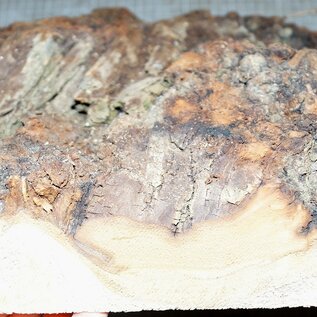 Poplar burl, approx. 350 x 350 x 40-80mm, 3,2kg